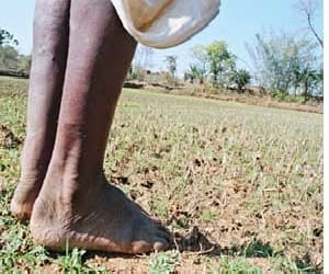 compensation will be decided by use of land